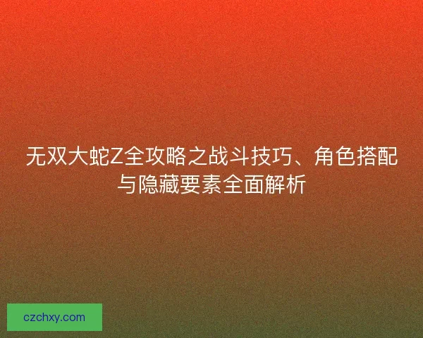 无双大蛇Z全攻略之战斗技巧、角色搭配与隐藏要素全面解析