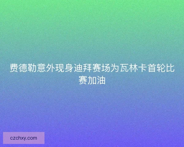 费德勒意外现身迪拜赛场为瓦林卡首轮比赛加油